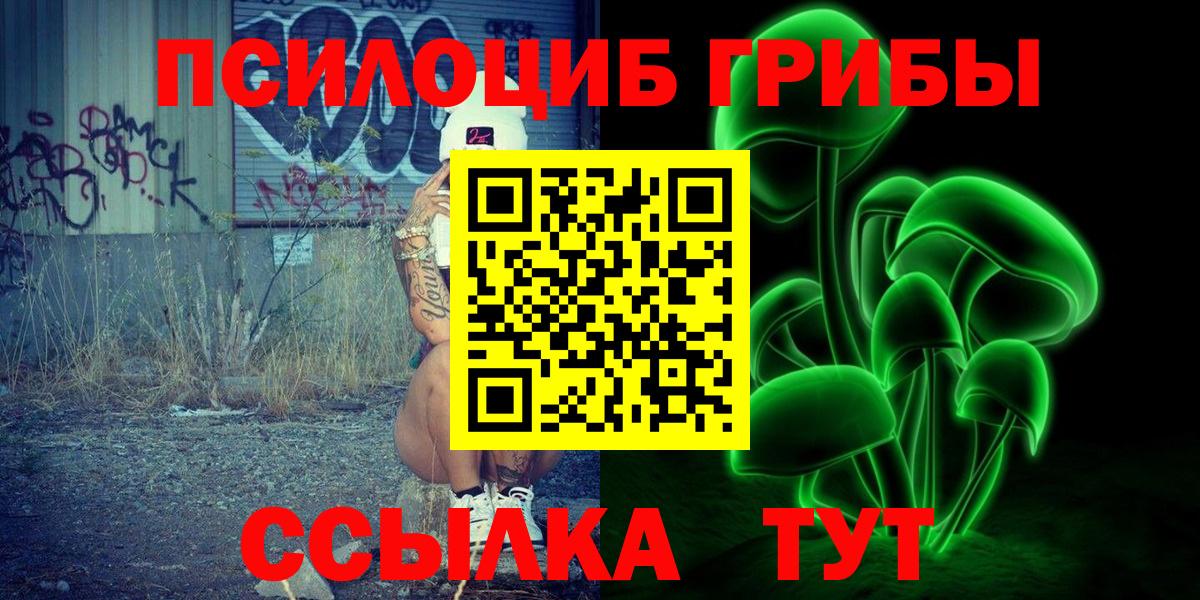 Назарово  Псилоцибиновые грибы Cubensis  Вход с VPN 