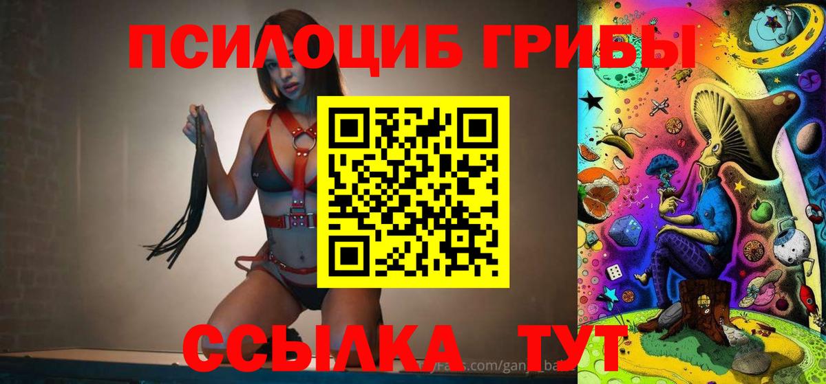 Галлюциногенные грибы Cubensis Назарово
